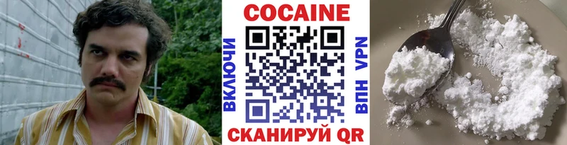 COCAIN Fish Scale  Купить закладки  Ладушкин 