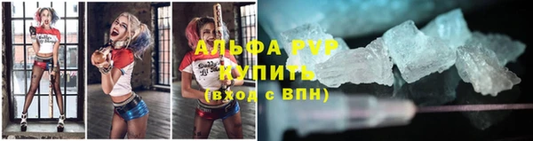 спайс Вяземский