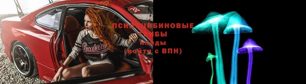спайс Вяземский