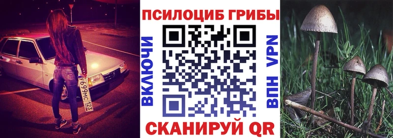Купить  Ладушкин  Псилоцибиновые грибы Magic Shrooms 